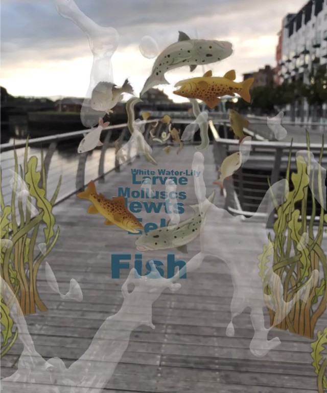 Augmented Reality Immersive Art Name by Niamh Barton